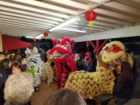 Lion and Tiger dancers